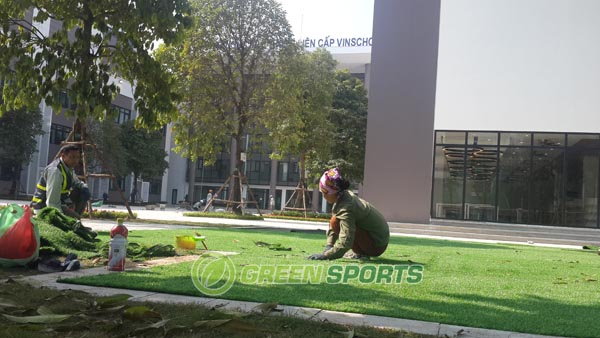 Thi công cỏ sân vườn trường PTLC VinSchool